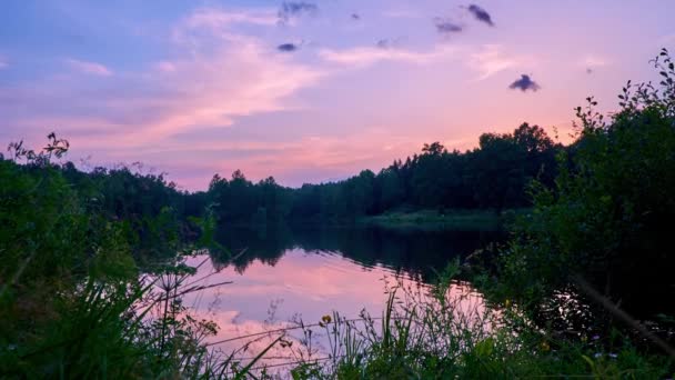 Тімелапс Мальовничого Фіолетового Заходу Сонця Сутінків Відображеного Воді Лісового Озера — стокове відео