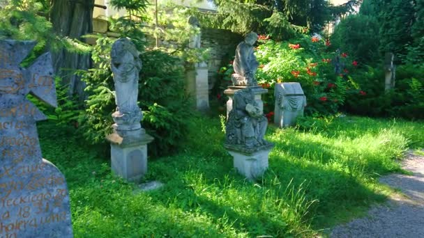 Panorama Historic Polish Cemetery Scenic Topiary Garden Blooming Roses Catholic — Stock Video