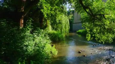 Gölgeli yeşil ormanın panoraması, sığ Smotrych Nehri 'nin etrafındaki derin kanyonda, ağaçların arkasındaki Yeni Köprü manzaralı, Kamianets-Podilskyi, Ukrayna