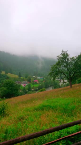 Verticale Tijdspanne Van Het Mistige Regenweer Het Karpaten Gebergte Dzembronia — Stockvideo