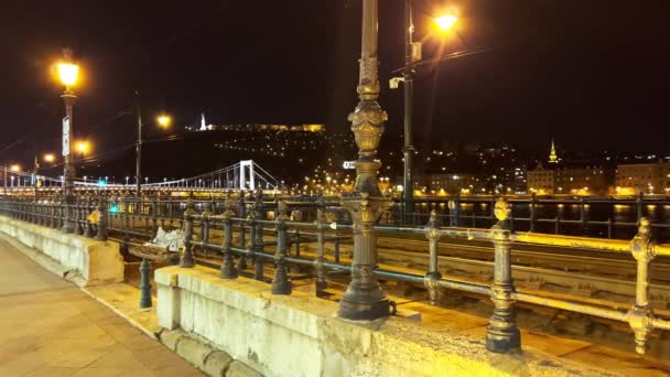 匈牙利布达佩斯 贝尔格莱德码头的全景 背景上横跨多瑙河的Elisabeth桥和Buda城堡 有一个小公主雕像 — 图库视频影像