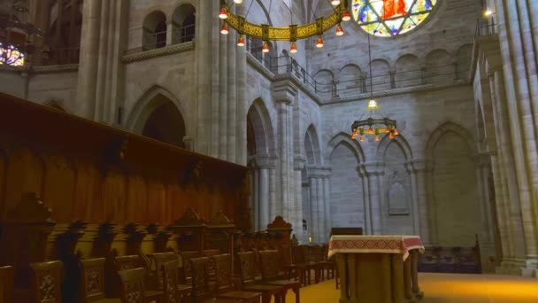 Basel Minster Basler Munster Katedrali Nin Içi Oyulmuş Ahşap Mobilyalar — Stok video