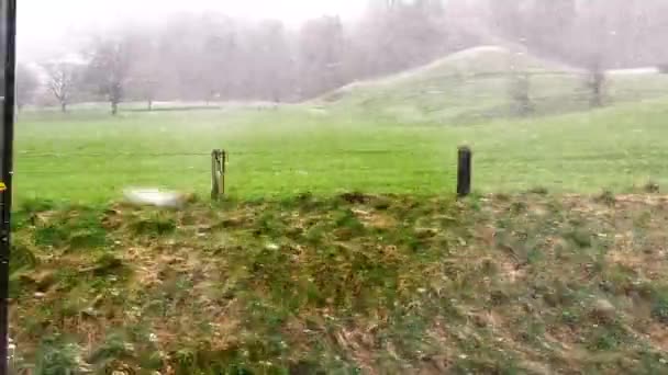 목초지 샬레와 무거운 내리는 흐릿한 알프스 루체른 스위스에 — 비디오