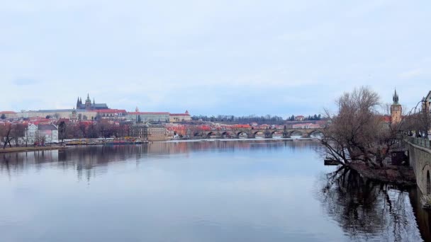 Pohled Historický Karlův Most Katedrálu Víta Vltavy Praha — Stock video