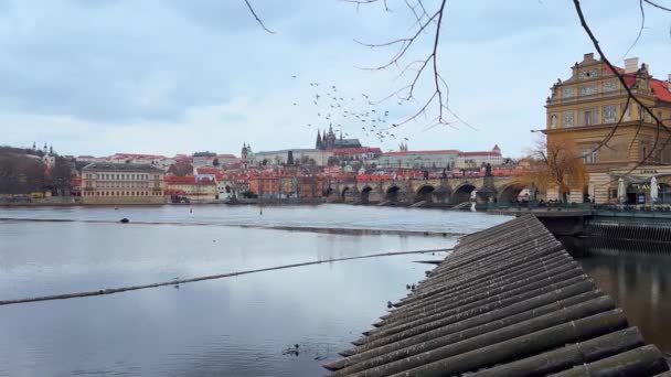 スメタナエンバンクメント プラハ チェコ共和国からの木製のアイスブレーカー ベッドリッチ スメタナ博物館の灰色の水 — ストック動画