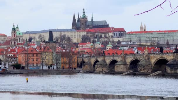 Historiska Landmärken Prag Sett Utifrån Floden Vltava Gothic Vitus Metropolitan — Stockvideo