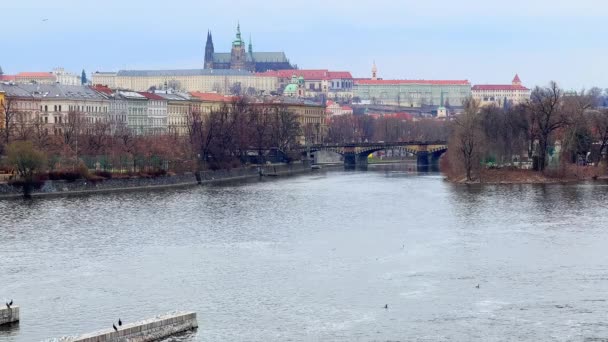 ブリッジからプラハの街並み ヴィタス大聖堂とチェコの石の軍団橋を望むプラハ城 — ストック動画