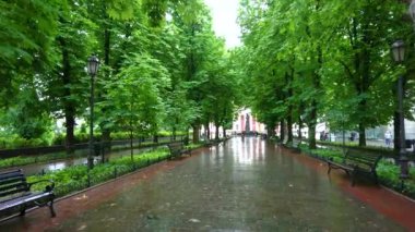 Primorskiy Bulvarı 'nın arka planında Alexander Puşkin ve Belediye Binası anıtı olan uzun gür ağaçlarla dolu gölgeli geçidinde yürü, Odesa, Ukrayna