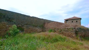 Ortaçağ Akkerman Kalesi, Bilhorod-Dnistrovskyi, Ukrayna 'nın yıkıntıları boyunca uzanan uzun otlar ve kır çiçekleriyle panorama