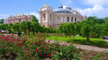 Tiyatro meydanında (Teatralna Meydanı) çiçek tarlalarında parlak güller, yemyeşil ağaçlar ve arka planda Odesa, Ukrayna 'daki Opera ve Bale Tiyatrosu' nun etkileyici tarihi binasıyla manzaralı bir bahçe.