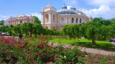 Tiyatro meydanında (Teatralna Meydanı) çiçek tarlalarında parlak güller, yemyeşil ağaçlar ve arka planda Odesa, Ukrayna 'daki Opera ve Bale Tiyatrosu' nun etkileyici tarihi binasıyla manzaralı bir bahçe.