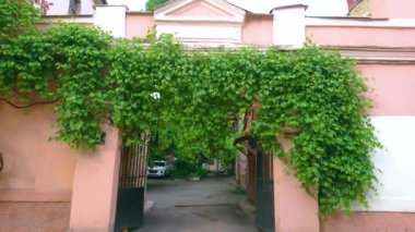 Vorontsov Lane 'den gelen kapı, Odesa, Ukrayna' daki yemyeşil üzümlerle kaplı tarihi evin küçük bahçesine açılıyor.