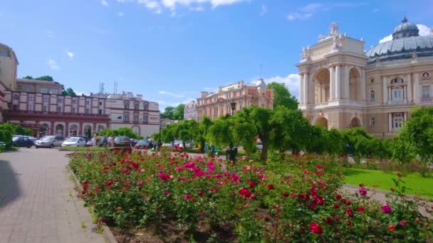 Panorama Ogrodu Placu Teatralnym Miejscowymi Roślinami Kwitnącymi Krzewami Róż Teatrem — Wideo stockowe