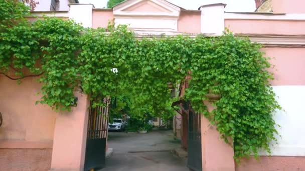 Puerta Vorontsov Lane Conduce Pequeño Acogedor Patio Casa Histórica Cubierto — Vídeo de stock