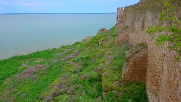 Orilla Del Estuario Del Río Dniéster Con Enormes Murallas Fortaleza — Vídeos de Stock