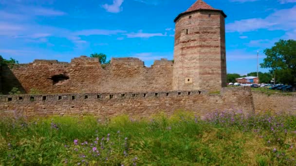 Vista Panorámica Muralla Torres Ruinas Fortaleza Medieval Akkerman Con Flores — Vídeos de Stock