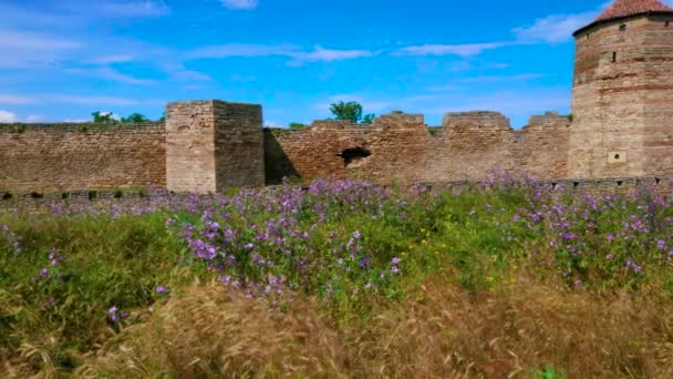 前景の牧草地で野花と中世アッカーマン要塞の城壁 塔や遺跡のパノラマビュー Bilhorod Distrovskyi ウクライナ — ストック動画