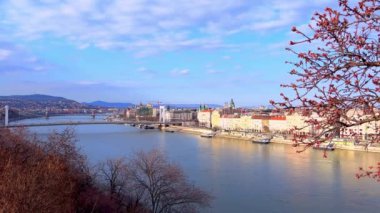 Tuna Nehri, Elisabeth Köprüsü ve Pest, Budapeşte, Macaristan seti üzerinde evleri olan manzaralı şehir manzarası