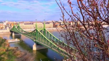 Bahar ağacı dalları, yüzen mavna ve Özgürlük Köprüsü, Budapeşte, Macaristan ile Tuna Nehri 'ne karşı rüzgarda sallanıyor.