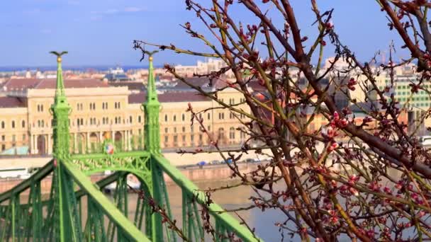 匈牙利布达佩斯自由桥塔前的Gellert山和Corvinus大学的树枝上的小春芽被遮住了 — 图库视频影像