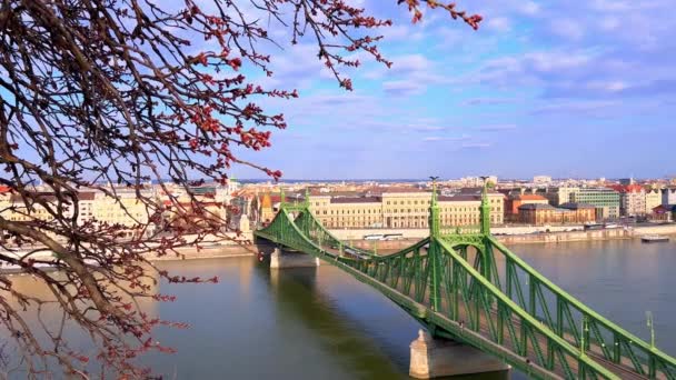 Widok Tarasu Widokowego Most Wolności Dunaj Peszt Budapeszt Węgry — Wideo stockowe