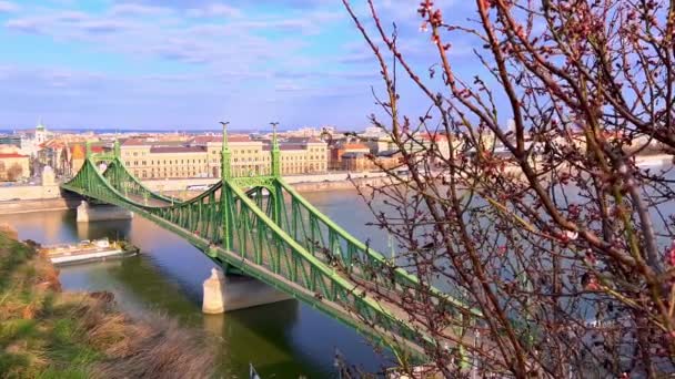 Wiosenne Gałęzie Drzew Falujące Wietrze Nad Dunajem Pływającą Barką Mostem — Wideo stockowe