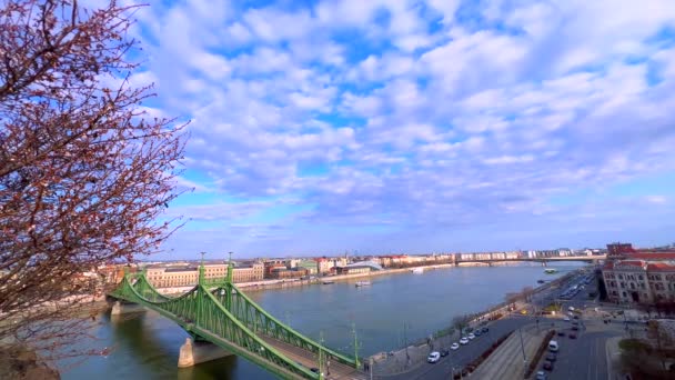 ダヌーブ川を渡る歴史的リバティ橋 バックグラウンドのペストハウス ブダペスト ハンガリー — ストック動画