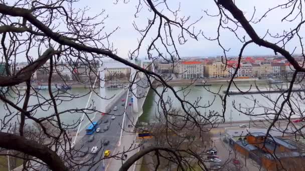 Bílý Most Elisabeth Přes Dunaj Vidět Přes Větve Stromů Gellert — Stock video