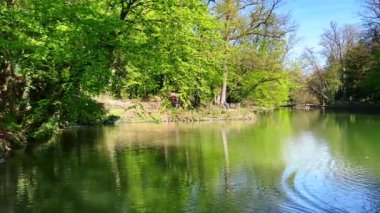 Laghetto di Villa Realepond Panoraması, İtalya, Monza Royal Gardens 'ın yemyeşil gölgeli ağaçlarını yansıtıyor.