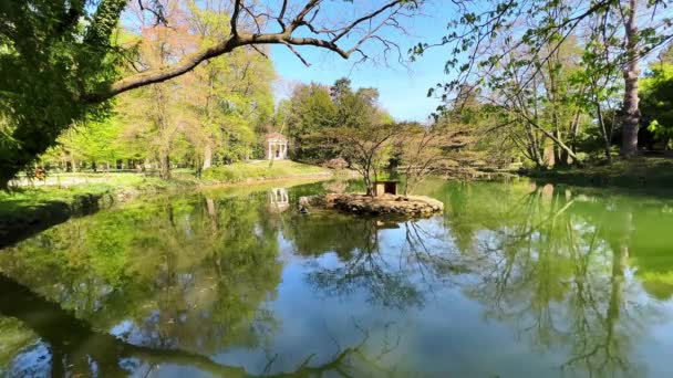 小さな池 Laghetto Villa Reale 緑の島 Isoletta Delle Anatre とマガモと彼らの木造住宅 モンツァロイヤルガーデン — ストック動画