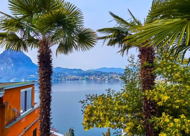 Monte Bre yamacındaki çiçek açan baharda Lugano Gölü manzaralı palmiyenin arkasında puslu Monte San Salvatore, Castagnola, Lugano, Ticino, İsviçre