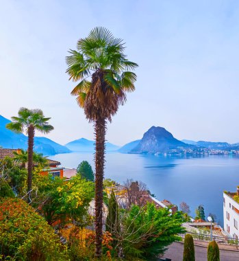 Monte Bre, Castagnola, Lugano, İsviçre 'nin yamacından görünen, Lugano Gölü' nün önündeki çimlerin ve chusan palmiyelerinin olduğu yeşil bahçe.