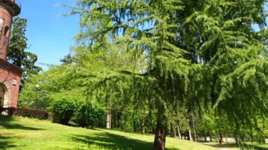 Ortaçağ tuğlalı güzel yeşil Monza Kraliyet Bahçeleri (Visconti kulesi), uzun ağaçlar ve yeşil çimlerle çevrili, Torretta Viscontea (Visconti kulesi), Monza, İtalya