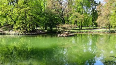Laghetto di Villa Reale (gölet), yemyeşil ağaçlar ve çalılıklarla çevrili küçük adacık (Isoletta delle Anatre), Monza Kraliyet Bahçeleri, İtalya