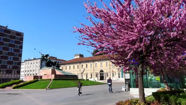 Piazza Trento Trieste Panorama Com Árvore Florida War Memorial Edifícios — Vídeo de Stock