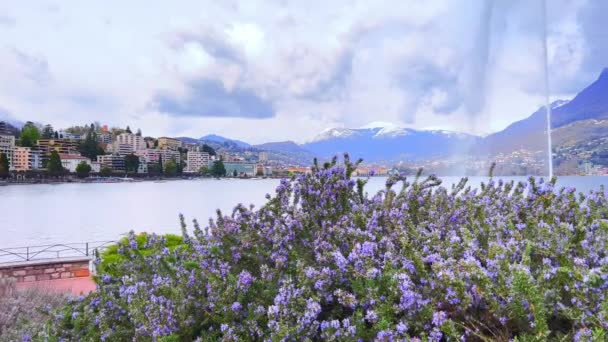 Pengelolaan Danau Lugano Dengan Mawar Yang Subur Dan Pemandangan Getto — Stok Video
