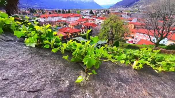 モンテベロ城の壁は アイビーでねじれ 緑の城の裁判所とベリンツォナの古い町 ティチーノ スイスの赤い屋根の景色を開きます — ストック動画
