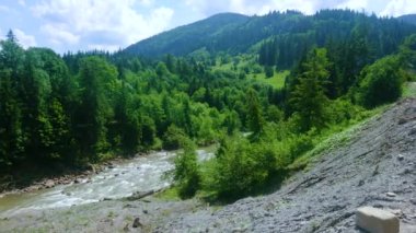 Yeşillik yeşil ladin ormanlarıyla panoramik dağ manzarası ve ön planda Kara Çeriş Nehri kıvrımı, Dzembronia, Karpatlar, Ukrayna