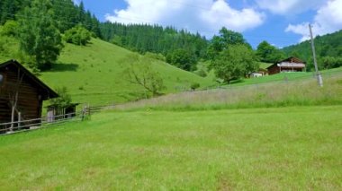Küçük ahşap evi olan yeşil dağ yamacı ve kır çiçekleri ve otlarla sulu çayırı, Karpatlar, Dzembronia köyü, Ukrayna