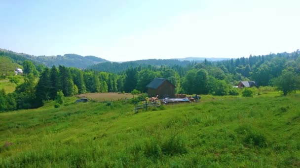 Panorama Bujné Zelené Rozlohy Bukovetského Průsmyku Šťavnaté Louky Smrkové Lesy — Stock video