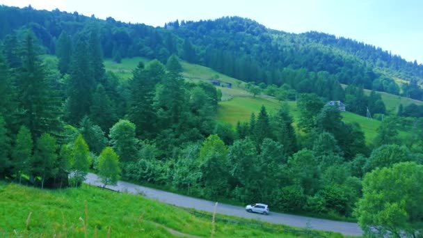 Panorama Karpaterna Bergslandskap Med Natursköna Gröna Skogar Bergssluttningar Och Dalar — Stockvideo