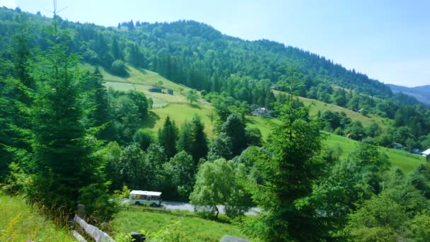 Montanhas Verdes Cênicas Cobertas Com Florestas Abetos Exuberantes Bukovets Pass — Vídeo de Stock
