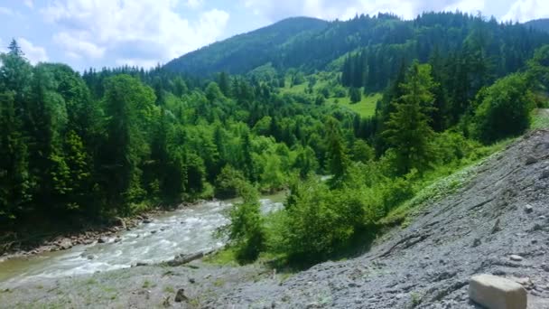 Panoramabergen Landskap Med Grönskande Granskog Och Böj Black Cheremosh River — Stockvideo