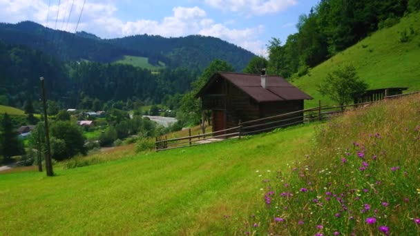 Panorama Sekané Pastviny Hory Lesy Malé Dřevěné Domky Karpat Vesnice — Stock video