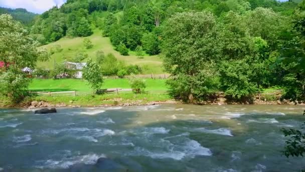 Panorama Svart Cheremosh River Bland Gröna Bergen Dzembronia Karpaterna Ukraina — Stockvideo