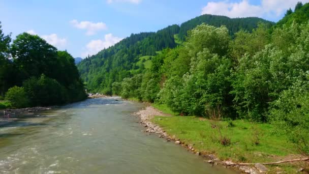 Fast Flowing Black Cheremosh River Meio Montanhas Verdes Florestas Exuberantes — Vídeo de Stock