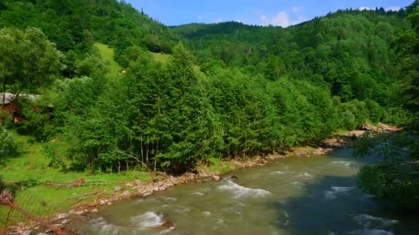 Panorama Van Black Cheremosh River Vanaf Smalle Voetgangersbrug Dzembronia Karpaten — Stockvideo