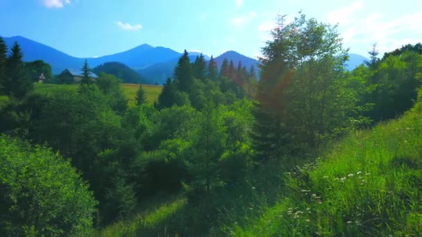 Panorama Avec Forêts Luxuriantes Prairies Montagne Silhouettes Bleues Chornohora Range — Video