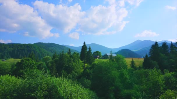 Πλούσια Δάση Της Οροσειράς Chornohora Στα Καρπάθια Σιλουέτες Των Βουνών — Αρχείο Βίντεο