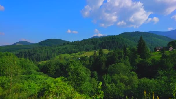Bosques Exuberantes Las Laderas Los Cárpatos Dzembronia Ucrania — Vídeo de stock